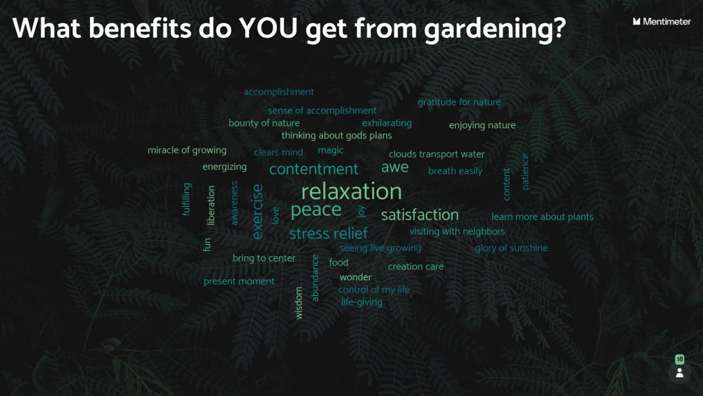 word cloud -What benefits do you get from gardening?