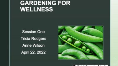 Gardening for Wellness Part 1