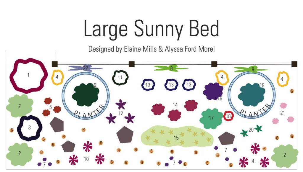 Design for large sunny bed in Fairlington Small Space Garden