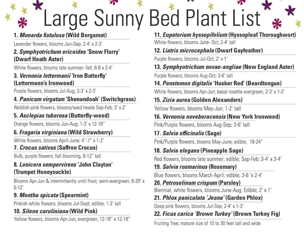 Plant list for large sunny bed at the Small Space Garden.