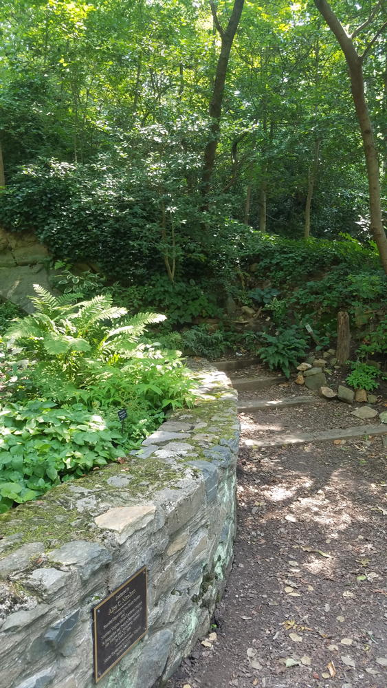 Quarry Shade garden with Wall