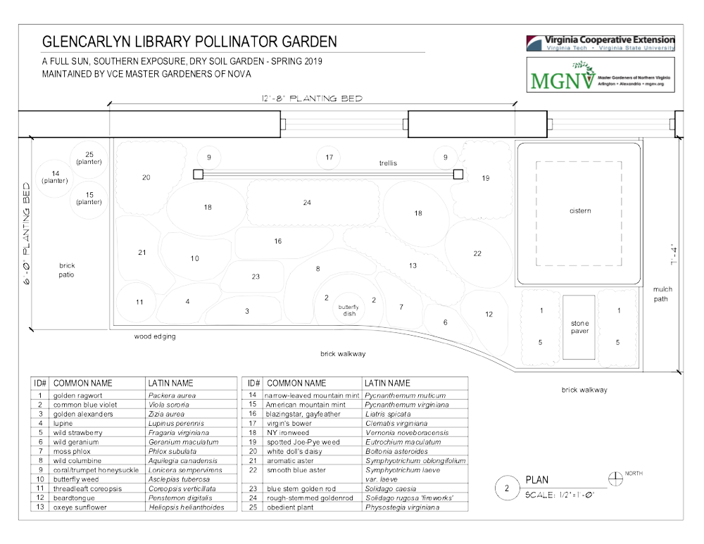 Glencarlyn Pollinator Garden plan
