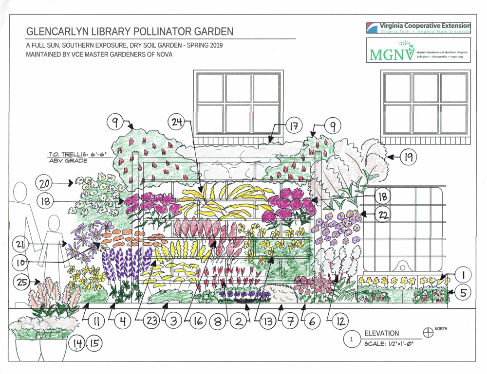 GC Pollinator Garden Elevation Plan