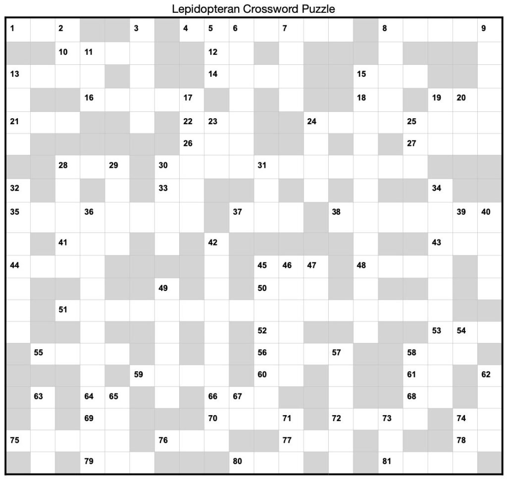 Lepidopteran Crossword Puzzle