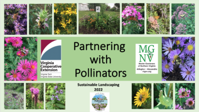 Title Slide for Partnering with Pollinators