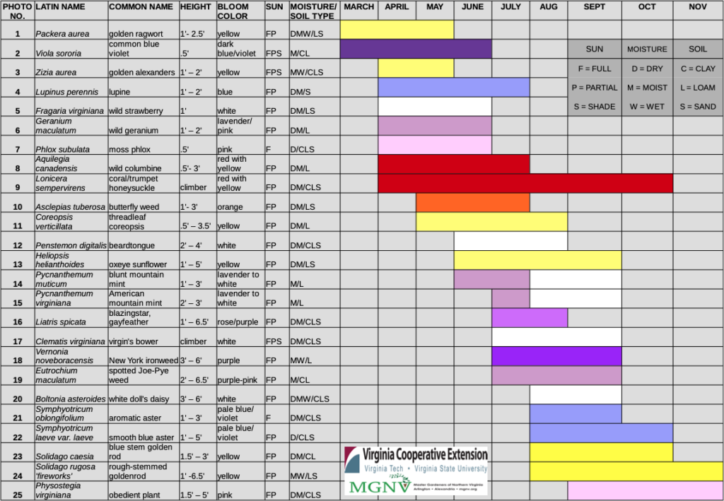 Pollinator Garden Blooming Schedule