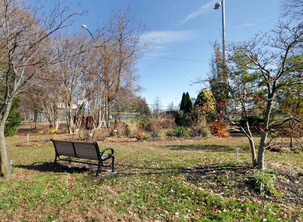 Herbaceous perennials and woody plants at the Simpson Park Demonstration Garden in December 2021. Photo © Mary Free