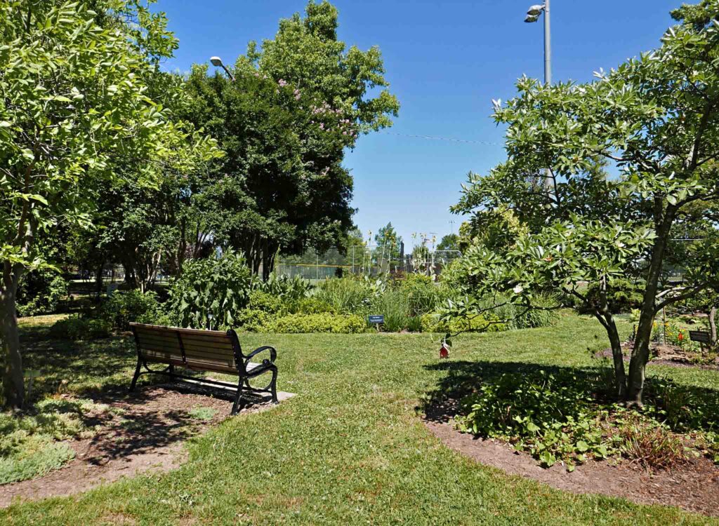 Herbaceous and woody perennials at the Simpson Park Demonstration Garden in June 2022.