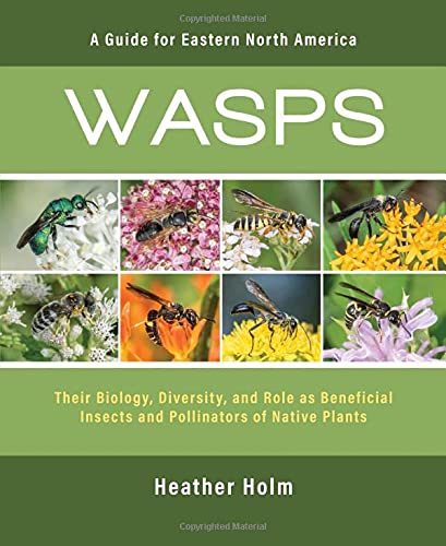 Book Cover of Wasps by Heather Holm