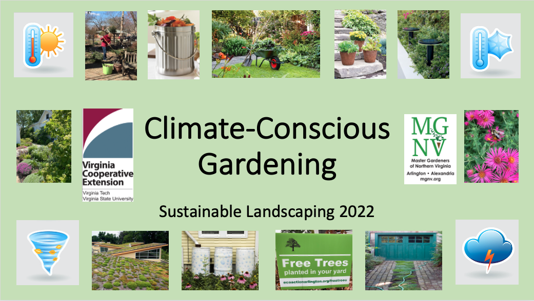 Climate-Conscious Gardening 2022