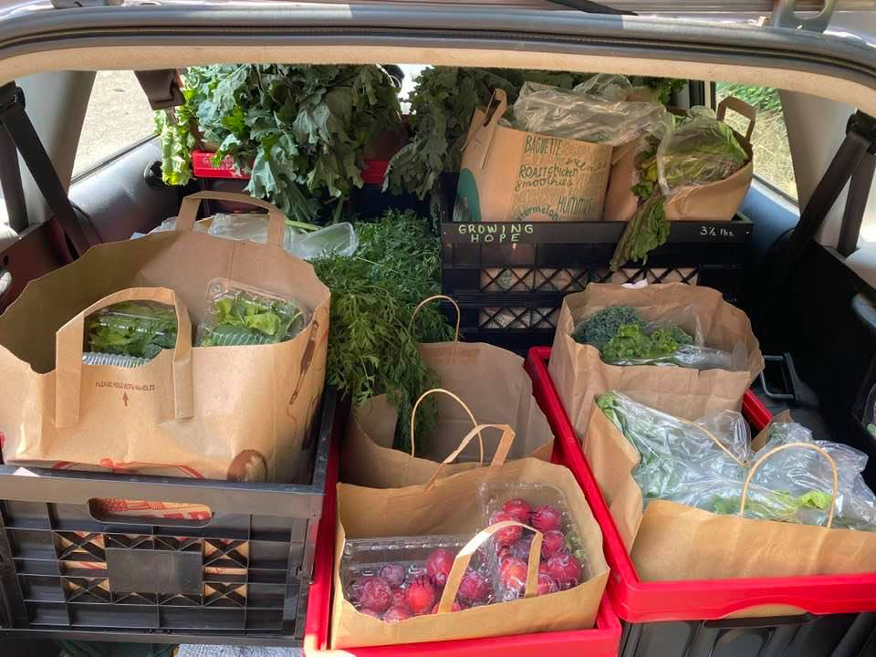 Car hatch full of harvested vegetables. Image from FOUA Newsletter