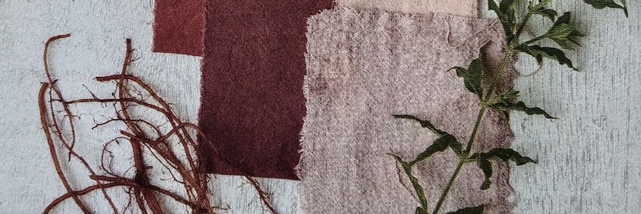 plant used in dyeing