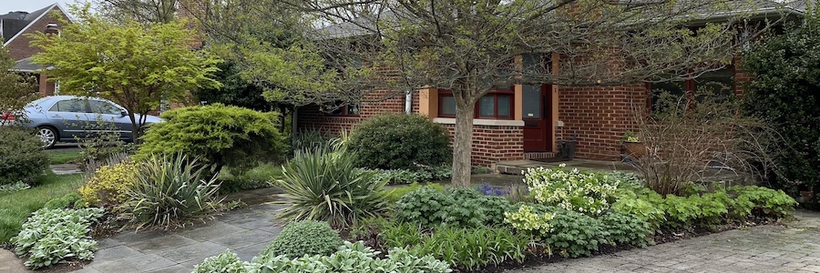 landscaped front yard