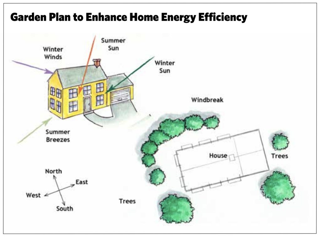 Garden Plan to Enhance Home Energy Efficiency