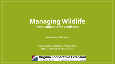 Managing Wildlife in the Urban Home Landscape slide