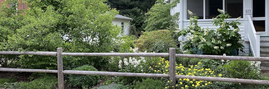 front yard with native plants