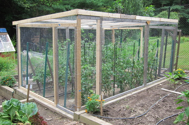 The “fortress” that did an excellent job of protecting tomatoes for many years but is heavy and cumbersome.