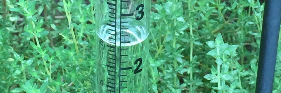 detail of rain gauge