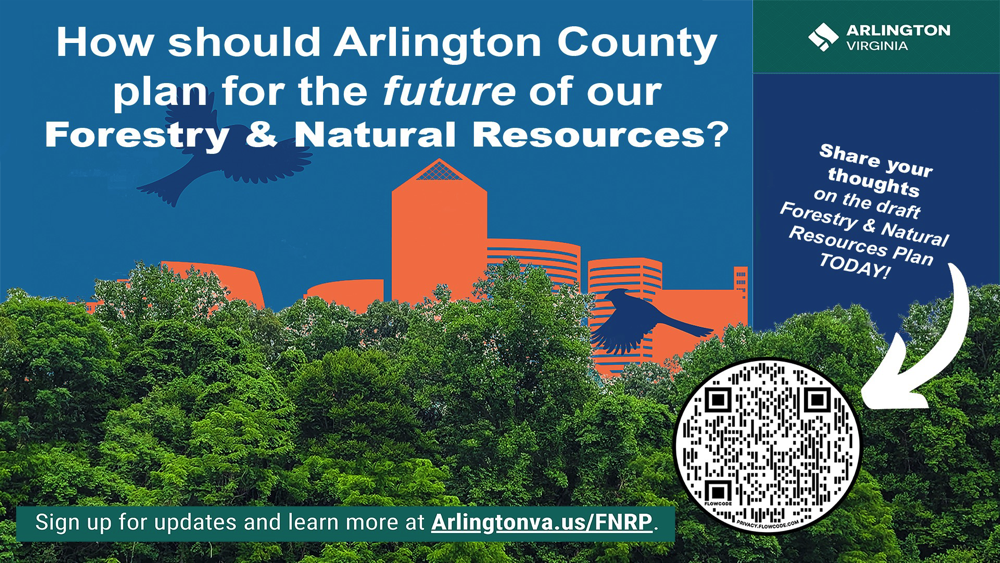 Draft Forestry and Natural Resources Plan - Feedback Opportunity 