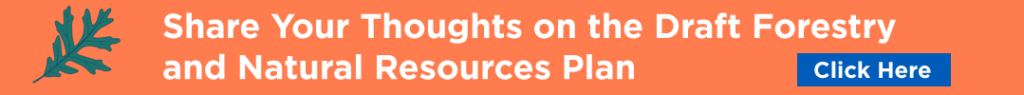 Share your thoughts on the draft Forestry and Natural Resources plan.