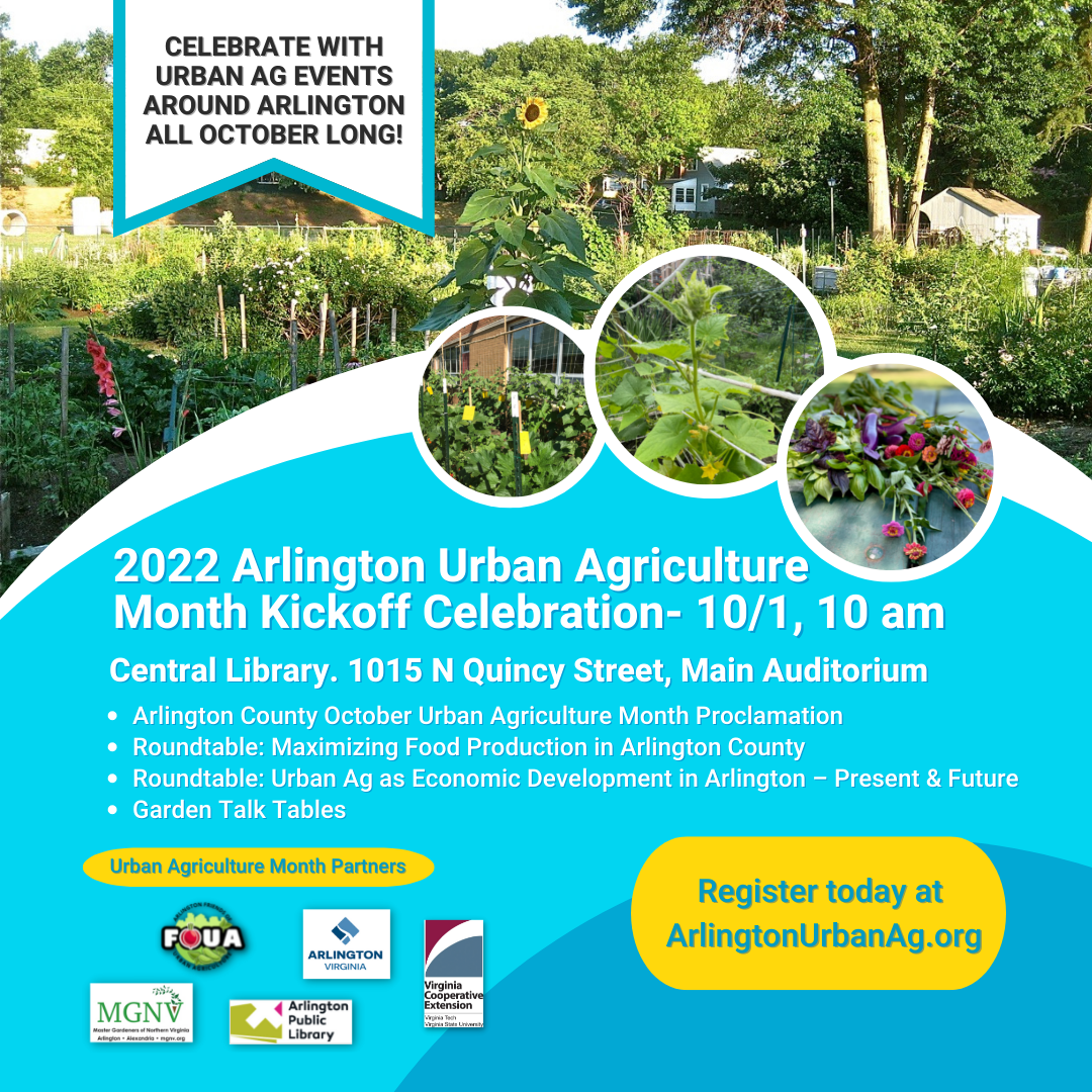 Join Friends of Urban Agriculture and partners to kickoff October Urban Agriculture Month! The fun begins on Saturday, October 1, 2022 from 10:00am to 1:00pm at Arlington Central Library, 1015 N Quincy Street.

Arlington's Urban Agriculture Future
Our program will include:

Keynote Speaker: Joe Guthrie, Commissioner, Virginia Dept. of Agriculture & Consumer Services
Powerful Partner Award Presentation: Mary Sanders, HCAT
Arlington County October Urban Agriculture Month Proclamation
Remarks by Arlington County Board Members Matt de Ferranti & Libby Garvey
Roundtable 1: Maximizing Food Production in Arlington County
Moderator: Becky Halbe, FOUA Board Member
Plot Against Hunger Gardens
Highlands Urban Garden
School Garden
Roundtable 2: Urban Ag as Economic Development in Arlington – Present and Future
Introductions by Kimberly Haun, Arlington County Urban Agriculture, and moderated by David Sachs, FOUA Board Member
Fresh Impact Farms
Area 2 Farms
Roots ‘n Shoots
Garden Talk Tables – interactive mini-presentations from the weekly Wednesday Garden Talks at Central Library




The event is FREE! We ask that you RSVP.

Plus, check out these events coming up later in October:

Volunteer Opportunities
Fall Festivals
VCE urban agriculture workshops
Tour of Highlands Urban Garden
More garden education, giveaways, and fun!
For registration information and to see all October Urban Agriculture Month events visit https://arlingtonurbanag.org/october-urban-agriculture-month-2022/
 