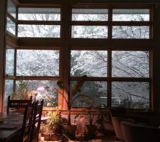 Snowstorm through the window: Early morning view of the garden after the storm