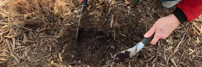 testing soil