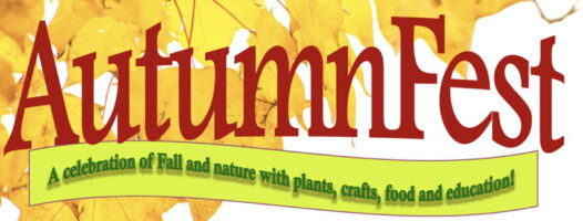 AutumnFest 2022