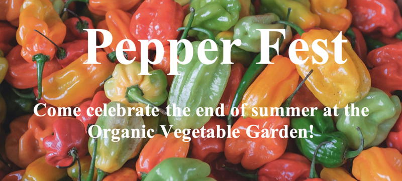 Pepper Fest! Come celebrate the end of summer at the Organic Vegetable Garden!