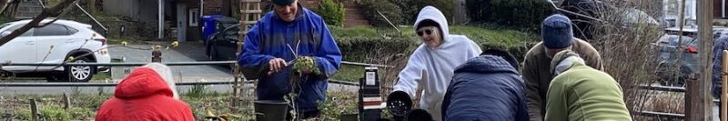 Master Gardeners in action