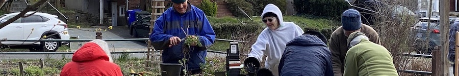 gardeners at work
