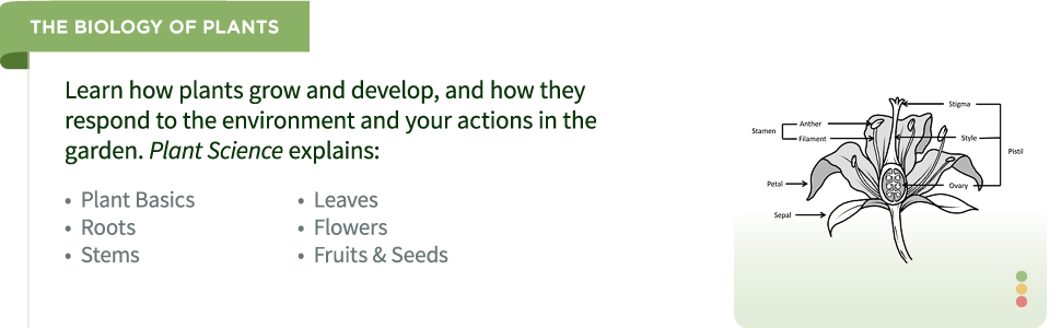 The biology of plants