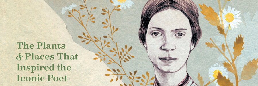 Emily Dickinson’s Gardening Life:
The Plants and Places That Inspired the Iconic Poet