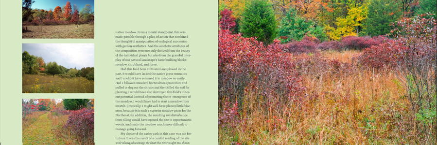 Garden Revolution: How Our Landscapes Can Be a Source of Environmental Change
by Larry Weaner and Thomas Christopher