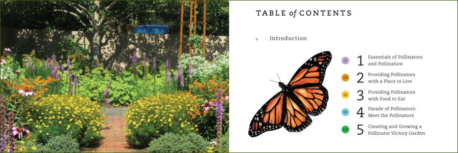 The Pollinator Victory Garden
by Kim Eierman