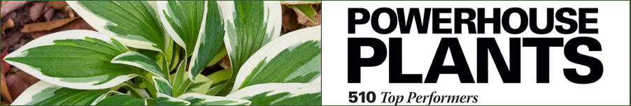 Powerhouse Plants: 510 Top Performers for Muliti-Season Beauty
by Graham Rice