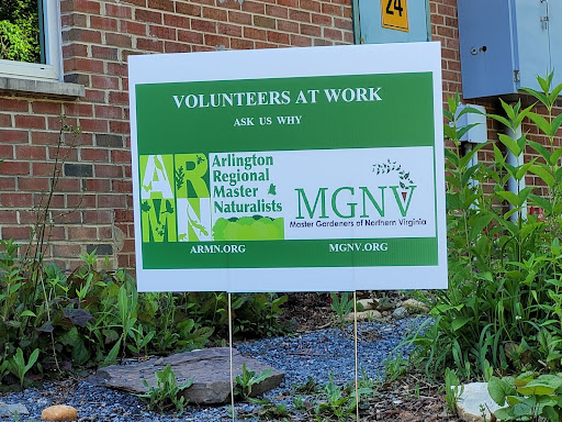 volunteers at work