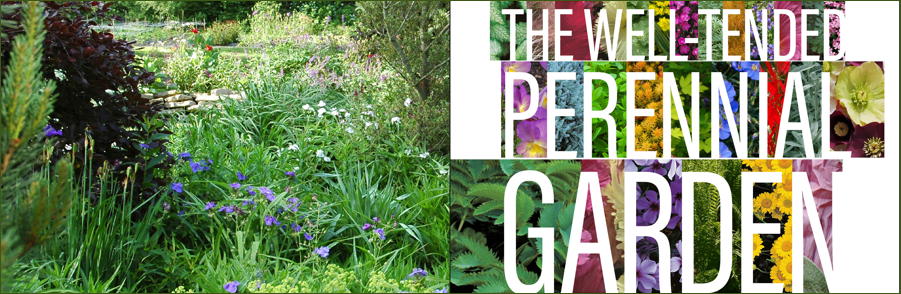The Well-Tended Perennial Garden
by Tracy DiSabato-Aust