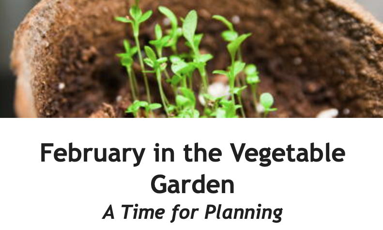 February in the Vegetable Garden: A time for planning
