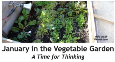 January in the Vegetable Garden: A time for thinking