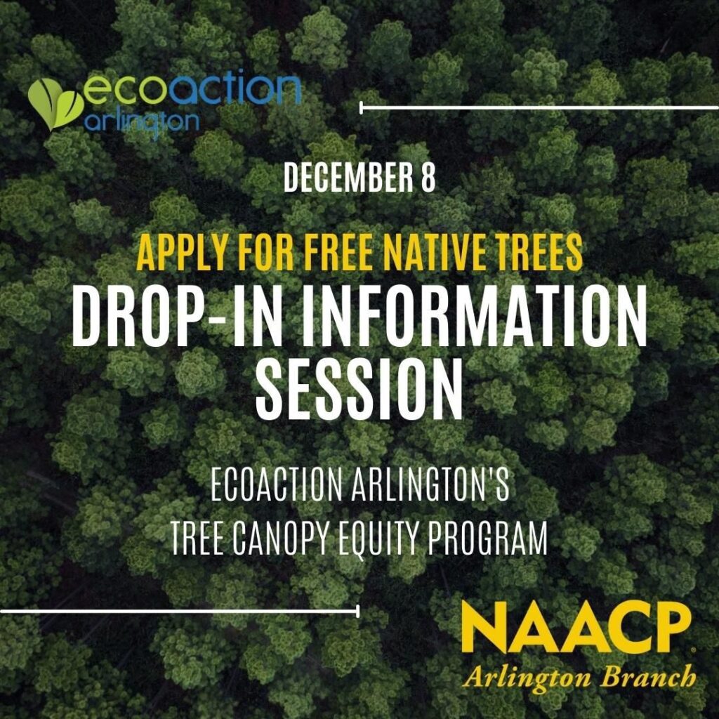 drop in information session for the Tree canopy fund