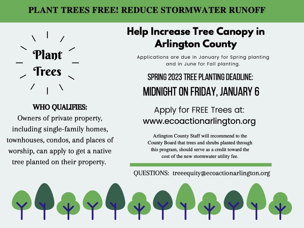 Tree Canopy Fund Flyer