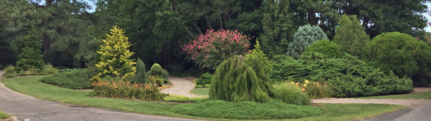 The Conifer Garden, Norfolk Botanical Garden.