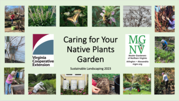 Cover slide for Caring for your Native Plants Garden