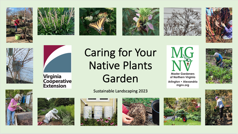 Cover slide for Caring for your Native Plants Garden