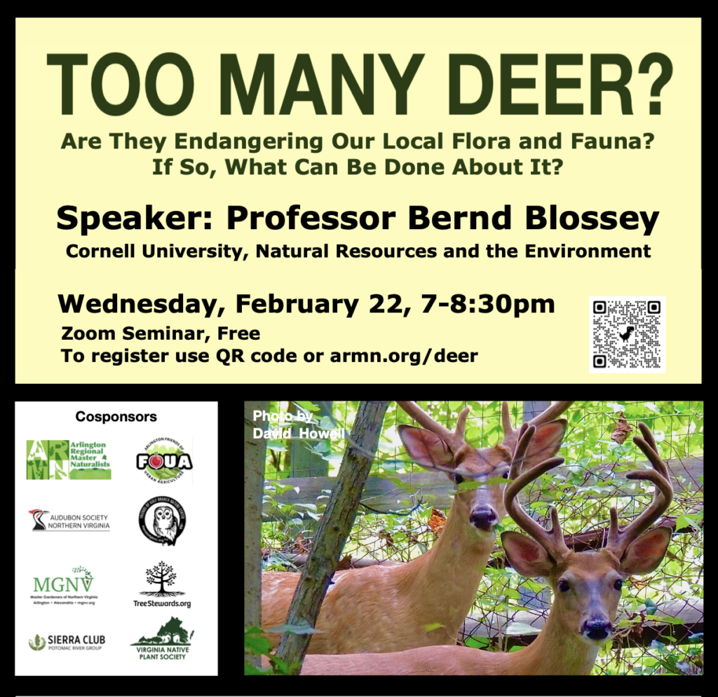 Too many deer?