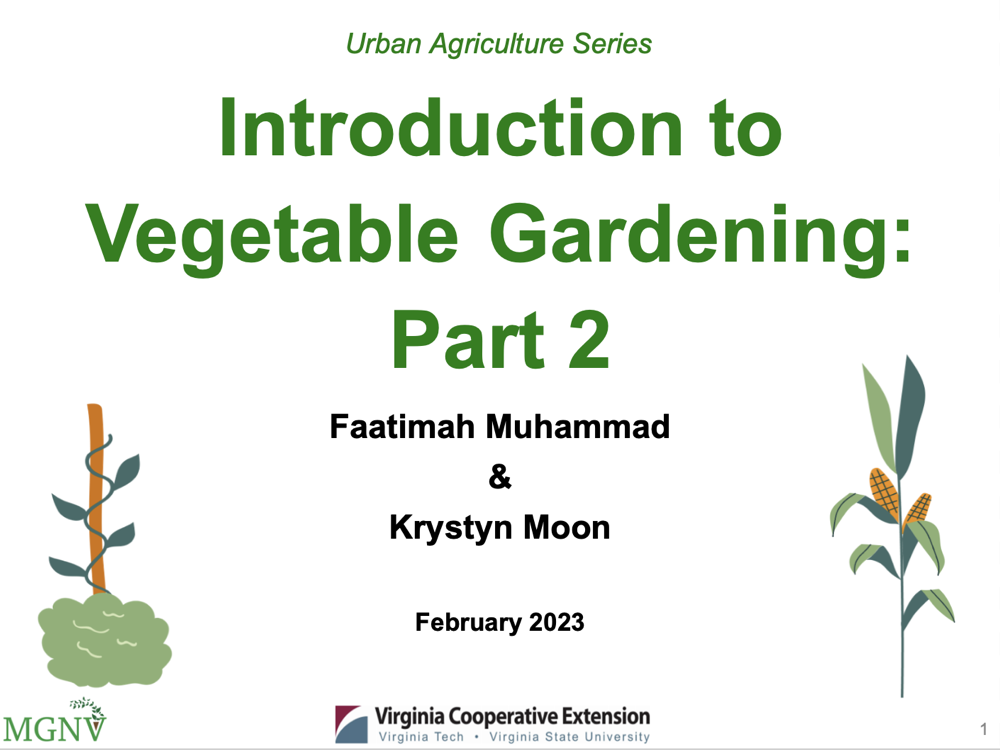 Intro to Veg Gardening Part II, 2023