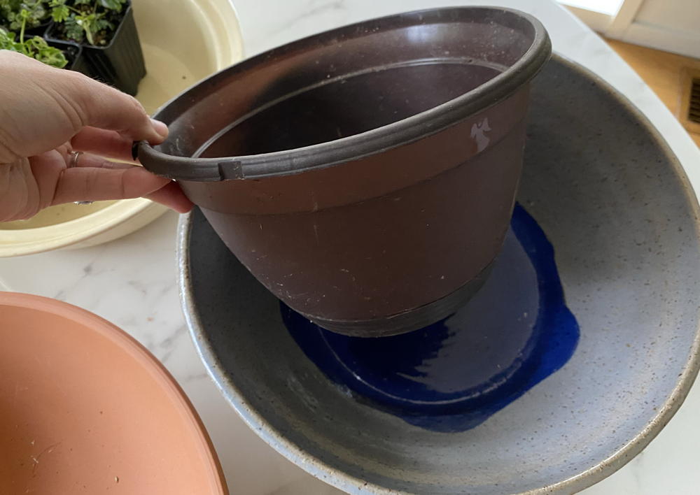Create a cache pot by placing a recycled planter inside of a more decorative one for easy watering that still has drainage.