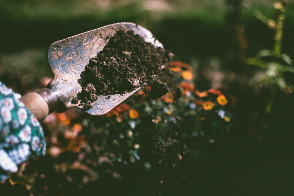 soil on trowel
