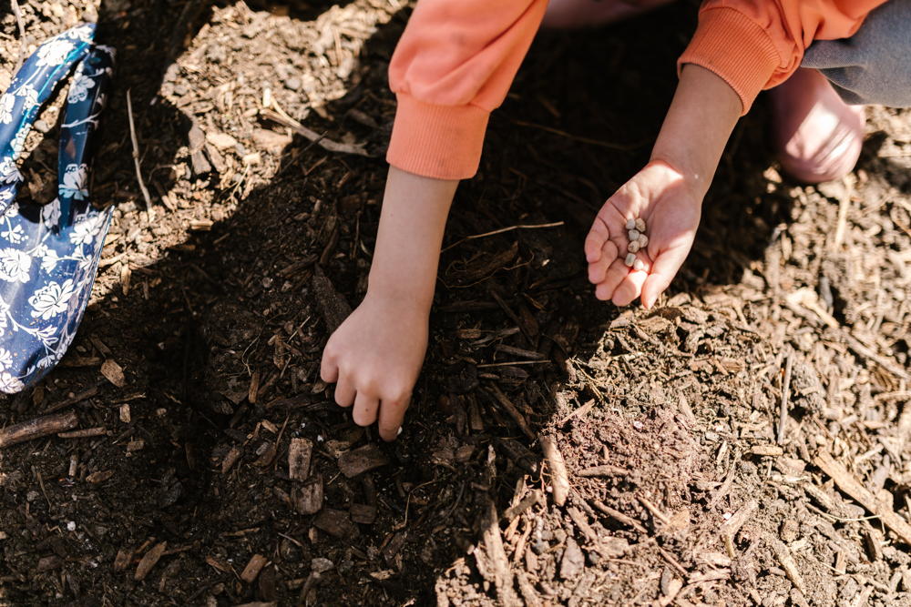Digging in Soil
